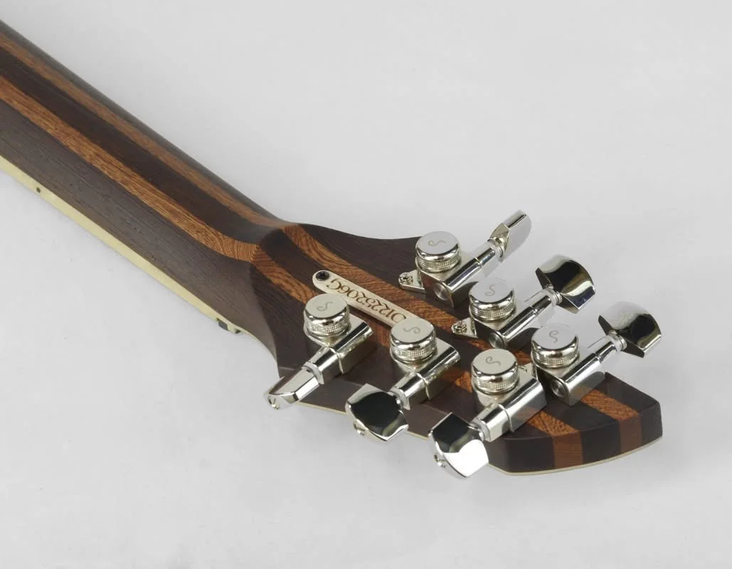 Custom Electric Guitar