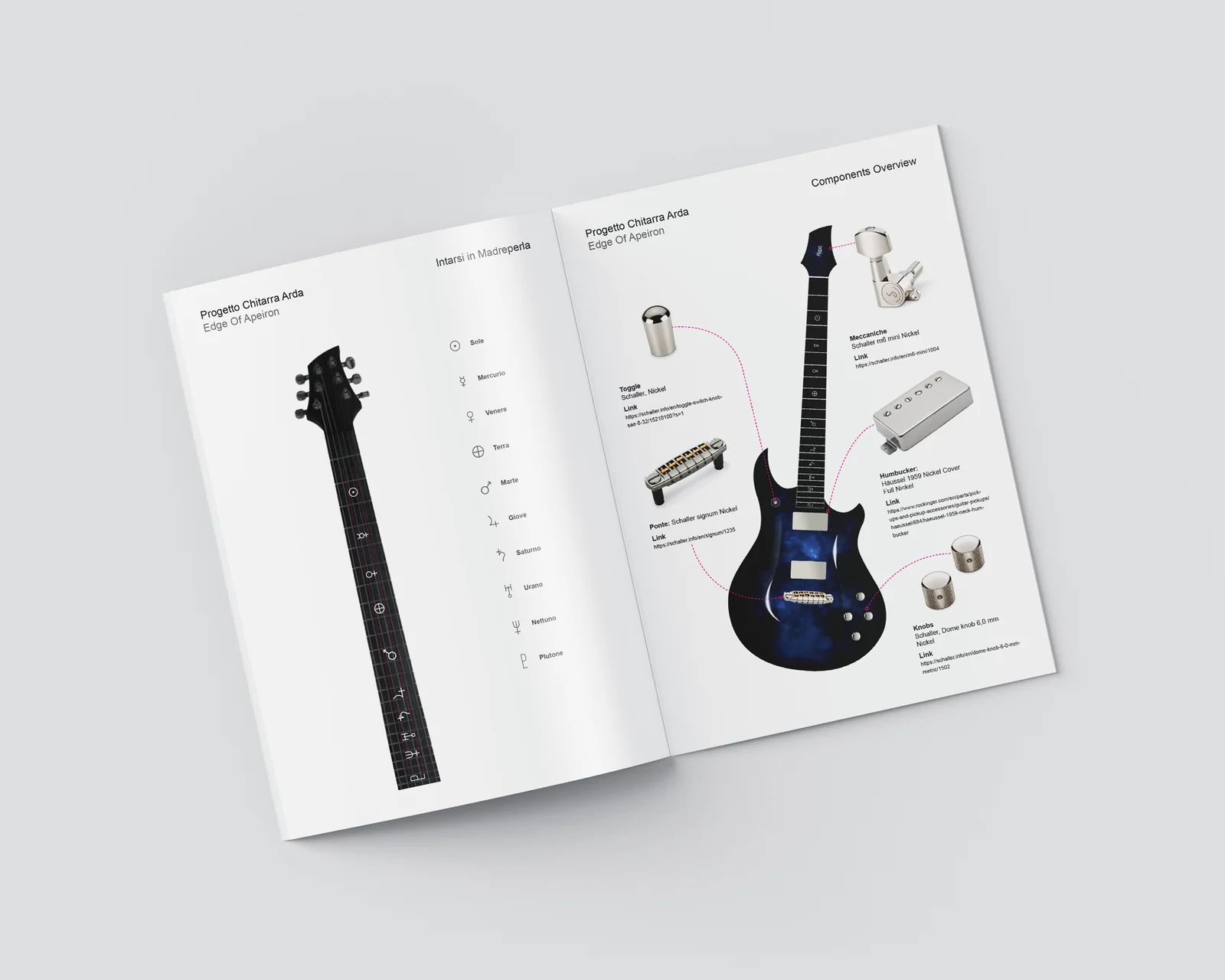 Custom Electric Guitar
